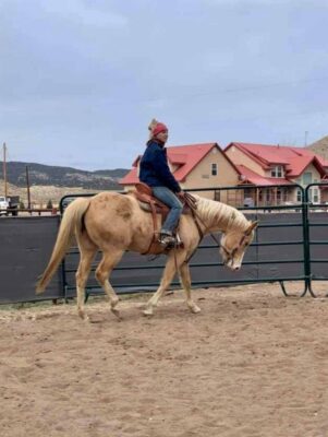 FX3-Performance-Horses-Training-Photo-Sep-29-1-58-50-PM