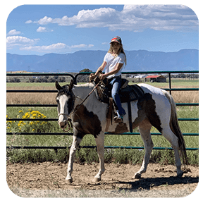 FX3 Performance Horses-Mobile Lessons