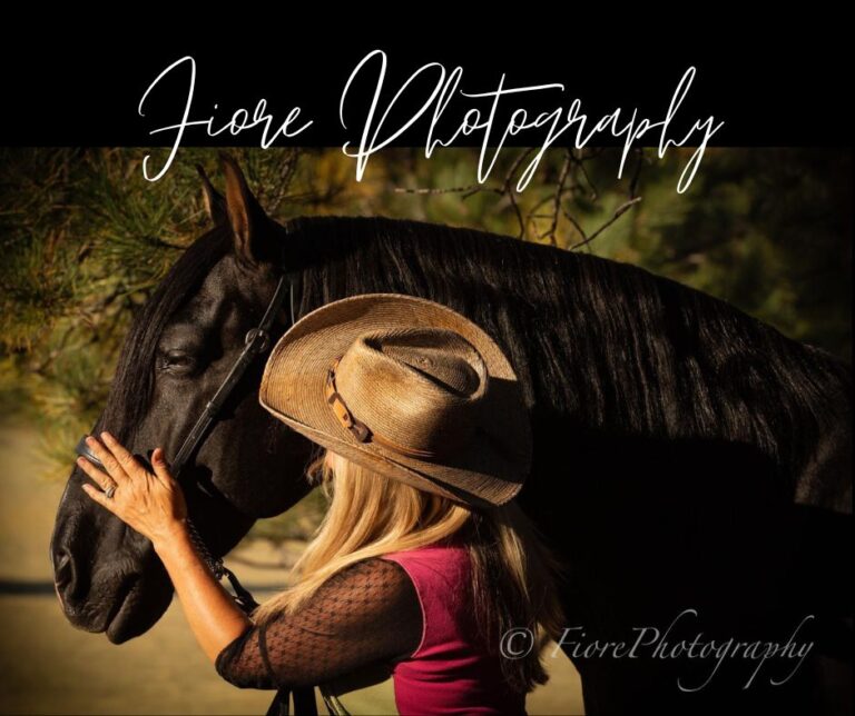 Fiore Photography-Karen Duplantis_Victory Farms Andalusians-Camelio Ang II-Rocky Mtn Girls