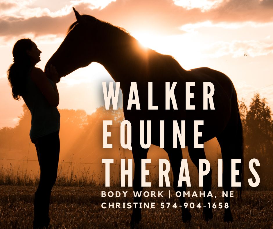 Walker Equine Therapies_Omaha-NE_Rocky Mtn Girls Hemp Distributor