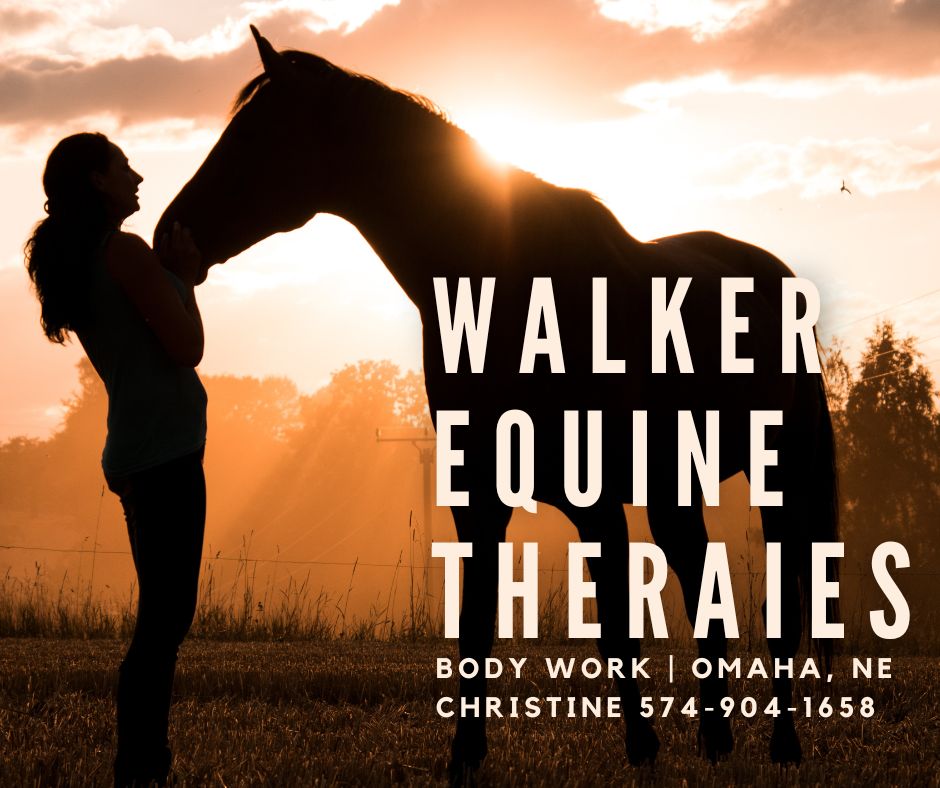 Walker Equine Therapies_Omaha-NE_Rocky Mtn Girls Hemp Distributor
