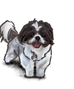custom digital art pet portrait fallon francis dog