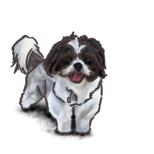 custom digital art pet portrait fallon francis dog