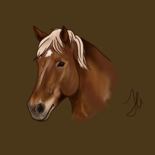custom digital art pet portrait fallon francis horse
