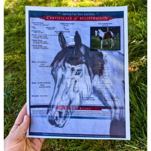 fallon francis custom art acrylics registration horse papers