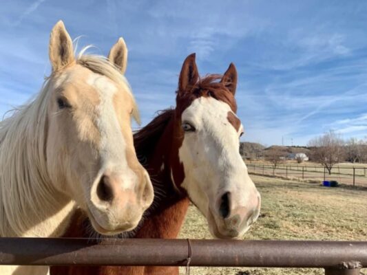 446122f0-ea0f-4dde-9496-c909da4f52be