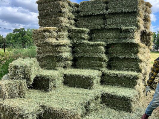 467846239_18468401707026344_1321788800398777192_n