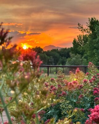 468943964_18470698735026344_2181424631097611512_n