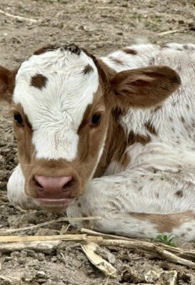 498340549_10007880849264786_2842826654538778775_n