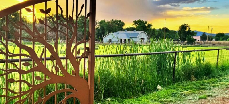 MTNMN Ranch Tours Canon City CO_RanchnVibes_1