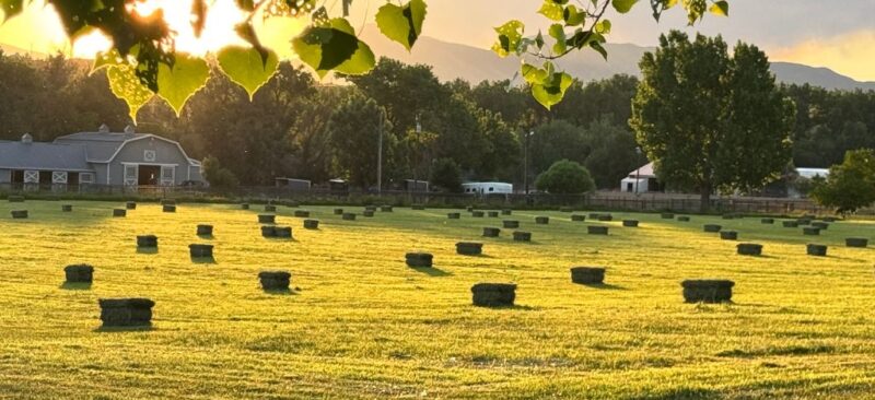 MTNMN Ranch Tours Canon City CO_RanchnVibes_14