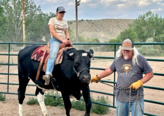 Ride Wild Bill the steer at MTNMN Ranch Canon City CO_2025