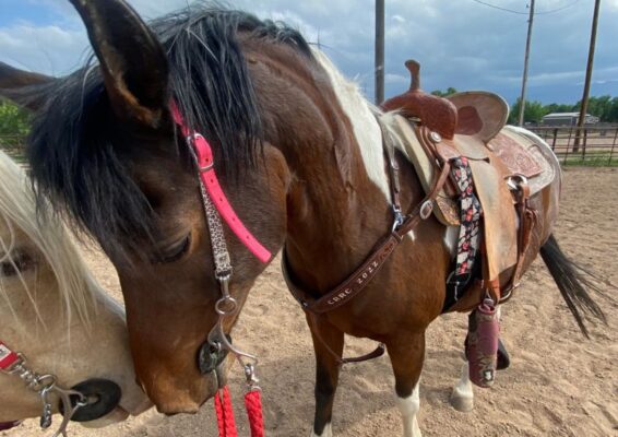 Riding lesson at MTNMN Ranch-Canon City CO_RanchnVibes