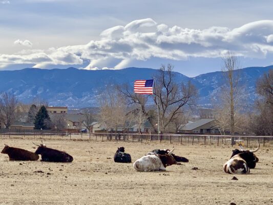 MTNMN RanchnVibes-Jan24-2